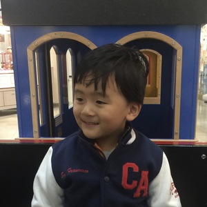 Team Page: Team Siddhartha